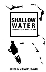 SW-Shallow Water